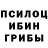Галлюциногенные грибы GOLDEN TEACHER Quantum Physics