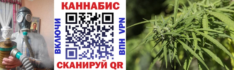 Марихуана сатива  Шагонар 